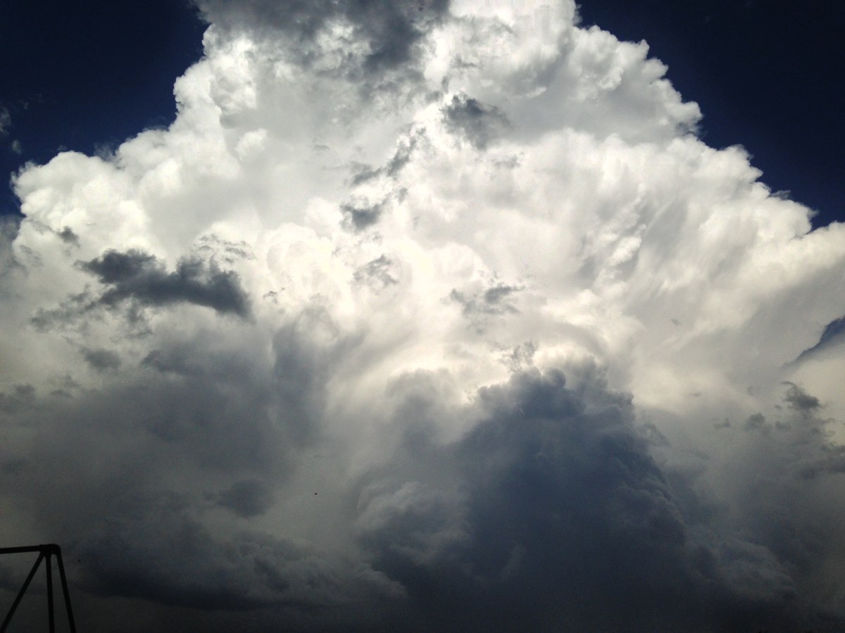 The Treachery of&nbsp;Optimism